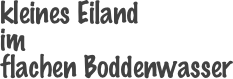kleines Eiland
im
flachen Boddenwasser