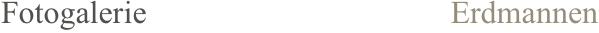 Fotogalerie                                      Erdmannen