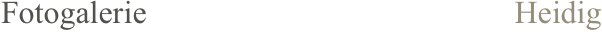 Fotogalerie                                              Heidig